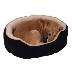 Panier Cozy Kingdom Pour Chien Et Chat 25 Panier Cozy Kingdom Pour Chien Et Chat -Pet Care Soldes 64466 cozy kingdom kuschelbett pla dsc3300 7