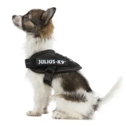 Julius K9 Harnais JULIUS-K9 IDC® Power, Noir Pour Chien -Pet Care Soldes 65467 julius k9 idc powergeschirr schwarz 7