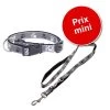 Lot : Collier + Laisse Trixie Silver Reflect, Motif De Pattes Pour Chien -Pet Care Soldes 668407 trixie silverreflect collier laisse 9