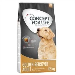 Concept For Life Golden Retriever Adult Pour Chien