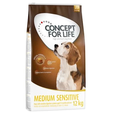 Lot Concept For Life Pour Chien 22 Lot Concept For Life Pour Chien – Image 20