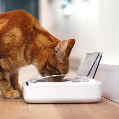 Surefeed Distributeur De Nourriture Hermétique 4 Surefeed Distributeur De Nourriture Hermétique – Image 2