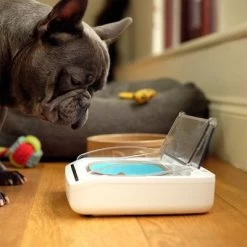 Surefeed Distributeur De Nourriture Hermétique 21 Surefeed Distributeur De Nourriture Hermétique -Pet Care Soldes 69308 surefeed luftdichte futterschale hs 06 3