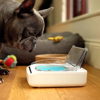 Surefeed Distributeur De Nourriture Hermétique 8 Surefeed Distributeur De Nourriture Hermétique – Image 6