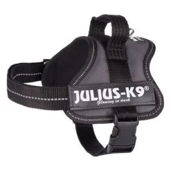 Julius K9 Harnais JULIUS-K9® Power, Anthracite Pour Chien -Pet Care Soldes 69338 pla trixie julius k9 farbangabe hs 03 15020za 3