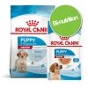 Pack Bi-nutrition : Croquettes + Sachets Royal Canin Medium Pour Chien