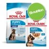 Pack Bi-nutrition : Croquettes + Sachets Royal Canin Maxi Pour Chien 2 Pack Bi-nutrition : Croquettes + Sachets Royal Canin Maxi Pour Chien -Pet Care Soldes 697728 royalcanin maxi binutrition 6
