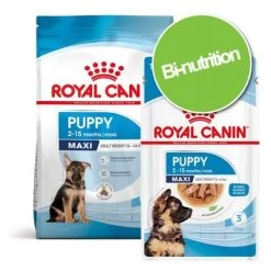 Pack Bi-nutrition : Croquettes + Sachets Royal Canin Maxi Pour Chien