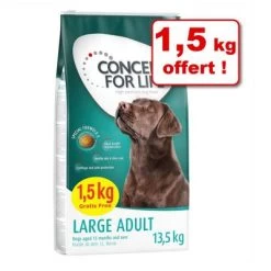 Croquettes Concept For Life 12 Kg + 1,5 Kg Offert !