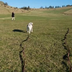 Longe Heim Super-Grip Pour Chien -Pet Care Soldes 71830 supergrip outside fg 3561 5