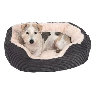 Panier Cozy Cord Pour Chien Et Chat 13 Panier Cozy Cord Pour Chien Et Chat – Image 11