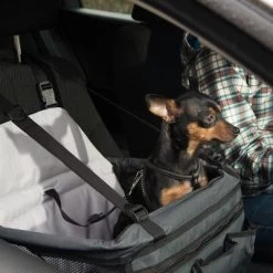 Siège De Voiture Booster Pour Chien -Pet Care Soldes 78030 autositz booster fg 6387 2