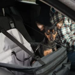 Siège De Voiture Booster Pour Chien -Pet Care Soldes 78030 autositz booster fg 6388 6
