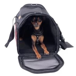 Sac De Transport Karo Pour Chien Et Chat -Pet Care Soldes 79331 tragetasche hund fg 7511 8