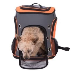 Sac à Dos Voyage Pour Chien Et Chat 29 Sac à Dos Voyage Pour Chien Et Chat -Pet Care Soldes 79332 rucksack voyage fg 7236 0