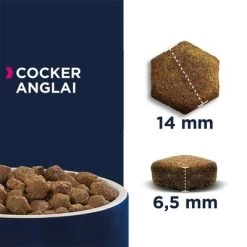 Eukanuba Adult Breed Specific Cocker Spaniel Pour Chien 11 Eukanuba Adult Breed Specific Cocker Spaniel Pour Chien -Pet Care Soldes 8710255120294 3