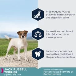Eukanuba Adult Breed Specific Jack Russell Terrier Pour Chien -Pet Care Soldes 8710255120454 6
