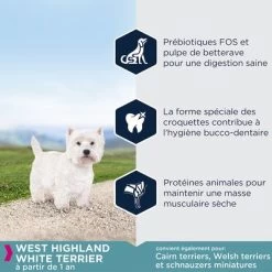 Eukanuba Breed Specific West Highland White Terrier Pour Chien -Pet Care Soldes 8710255120560 0