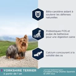 Eukanuba Adult Breed Specific Yorkshire Terrier Pour Chien 10 Eukanuba Adult Breed Specific Yorkshire Terrier Pour Chien -Pet Care Soldes 8710255120591 5