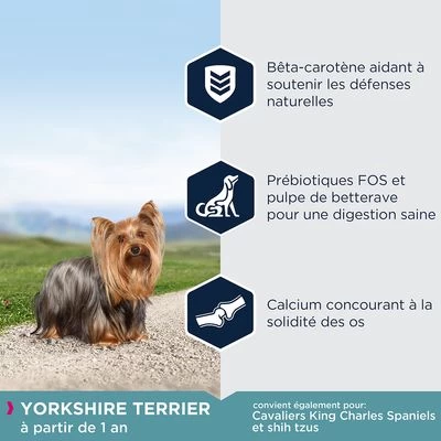 Eukanuba Adult Breed Specific Yorkshire Terrier Pour Chien 5 Eukanuba Adult Breed Specific Yorkshire Terrier Pour Chien – Image 3