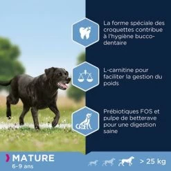 Eukanuba Thriving Mature Large Breed Poulet Pour Chien -Pet Care Soldes 8710255120928 1 5