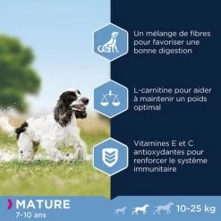 Eukanuba Thriving Mature Medium Breed Poulet Pour Chien 11 Eukanuba Thriving Mature Medium Breed Poulet Pour Chien -Pet Care Soldes 8710255120966 1 1