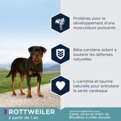 Eukanuba Adult Breed Specific Rottweiler Pour Chien -Pet Care Soldes 8710255121956 4