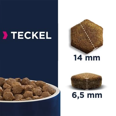 Eukanuba Adult Breed Specific Teckel Pour Chien 6 Eukanuba Adult Breed Specific Teckel Pour Chien – Image 4