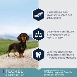 Eukanuba Adult Breed Specific Teckel Pour Chien 9 Eukanuba Adult Breed Specific Teckel Pour Chien -Pet Care Soldes 8710255122090 7