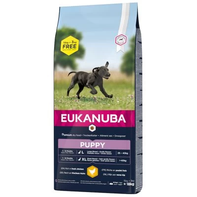 Croquettes Eukanuba Pour Chien : 15 Kg + 3 Kg Offerts ! 6 Croquettes Eukanuba Pour Chien : 15 Kg + 3 Kg Offerts ! – Image 4