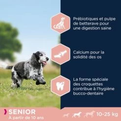 Eukanuba Caring Senior Medium Breed Poulet Pour Chien -Pet Care Soldes 8710255145921 4 4