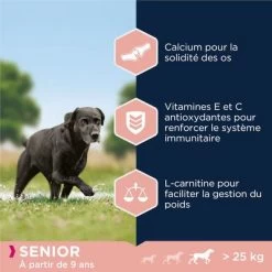 Eukanuba Caring Senior Large Breed Poulet Pour Chien -Pet Care Soldes 8710255146072 4 4