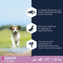 Eukanuba Grain Free Puppy Small / Medium Breed Avec Du Saumon Pour Chiot -Pet Care Soldes 87102551847602 6