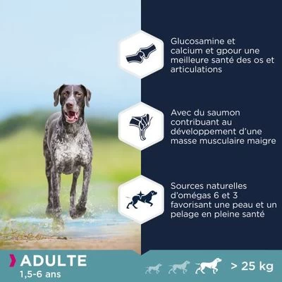 Eukanuba Grain Free Adult Large Breed Avec Du Saumon Pour Chien 5 Eukanuba Grain Free Adult Large Breed Avec Du Saumon Pour Chien – Image 3