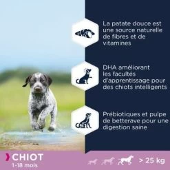 Eukanuba Grain Free Puppy Large Breed Avec Du Saumon Pour Chiot -Pet Care Soldes 87102551848072 7