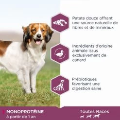 Eukanuba Daily Care Mono-Protein Canard Pour Chien -Pet Care Soldes 8710255189178 1 9
