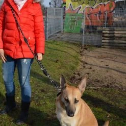 Julius K9 Laisse Réglable En Corde De Nylon JULIUS-K9 IDC® Pour Chien -Pet Care Soldes 89698 juliusk9 idcadjustableropeleash hs 11 2