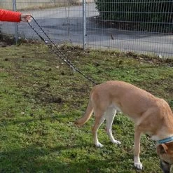 Julius K9 Laisse Réglable En Corde De Nylon JULIUS-K9 IDC® Pour Chien -Pet Care Soldes 89698 juliusk9 idcadjustableropeleash hs 13 2