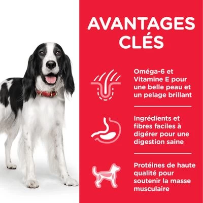 Hill's Science Plan Adult 1-6 Medium Poulet Pour Chien 5 Hill's Science Plan Adult 1-6 Medium Poulet Pour Chien – Image 3