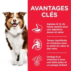 Hill's Science Plan Mature Adult 7+ Medium Agneau, Riz Pour Chien -Pet Care Soldes atf8 604379 key benefits 8