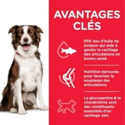 Hill's Science Plan Adult 1+ Healthy Mobility Medium Poulet Pour Chien 9 Hill's Science Plan Adult 1+ Healthy Mobility Medium Poulet Pour Chien -Pet Care Soldes atf8 604381 key benefits 1