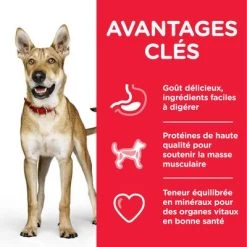 Hill's Science Plan Adult 1+ Performance Poulet Pour Chien -Pet Care Soldes atf8 604383 key benefits 9