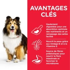 Hill's Science Plan Adult 1+ Sensitive Stomach & Skin Medium Poulet Pour Chien 9 Hill's Science Plan Adult 1+ Sensitive Stomach & Skin Medium Poulet Pour Chien -Pet Care Soldes atf8 604385 key benefits 2