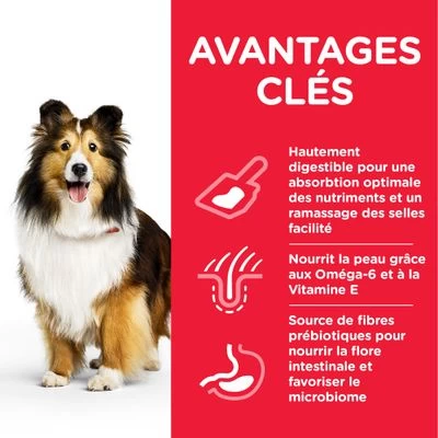 Hill's Science Plan Adult 1+ Sensitive Stomach & Skin Medium Poulet Pour Chien 5 Hill's Science Plan Adult 1+ Sensitive Stomach & Skin Medium Poulet Pour Chien – Image 3