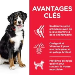 Hill's Science Plan Adult 1-5 Large Poulet Pour Chien -Pet Care Soldes atf8 604387 key benefits 2
