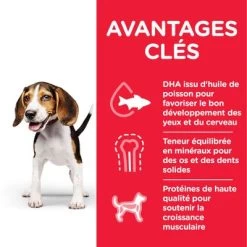 Hill's Science Plan Puppy <1 Medium Poulet Pour Chiot -Pet Care Soldes atf8 9263n key benefits 3