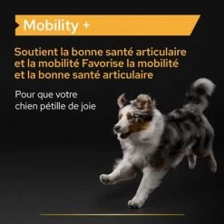 PRO PLAN Adult Mobility+ Supplement Poudre Pour Chien -Pet Care Soldes atf mobility dog tile 1 fr 220523 1 2 1