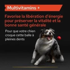 PRO PLAN Adult Multivitamins+ Supplement Comprimés Pour Chien -Pet Care Soldes atf multivitamins dog tile 1 fr 220523 1 4