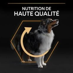 PURINA PRO PLAN Medium Adult Everyday Nutrition Pour Chien -Pet Care Soldes b00y9ssi1w pt05 3