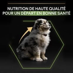PURINA PRO PLAN Medium Puppy Healthy Start Pour Chien 16 PURINA PRO PLAN Medium Puppy Healthy Start Pour Chien -Pet Care Soldes b00y9ssi6c pt05 0